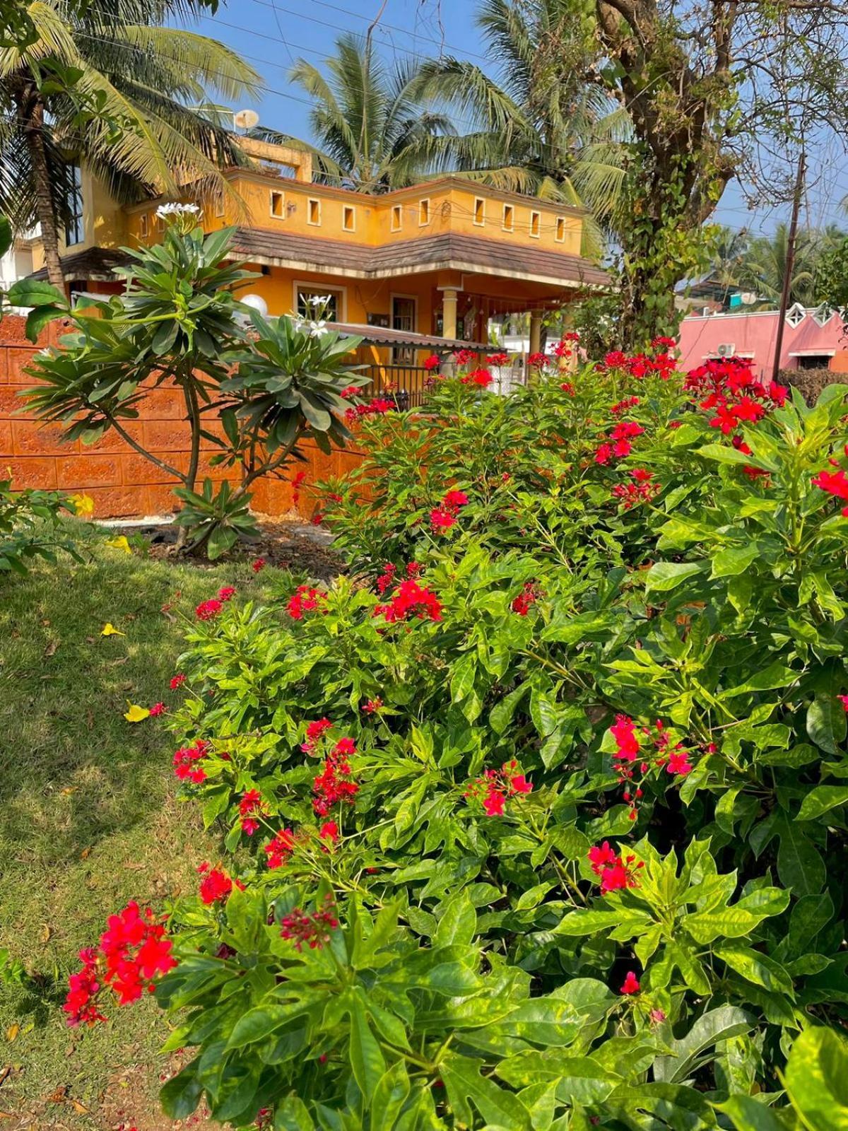 Scarlet Resort آليباغ المظهر الخارجي الصورة